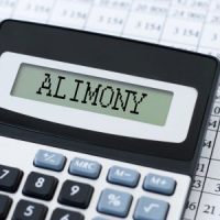 Alimony28